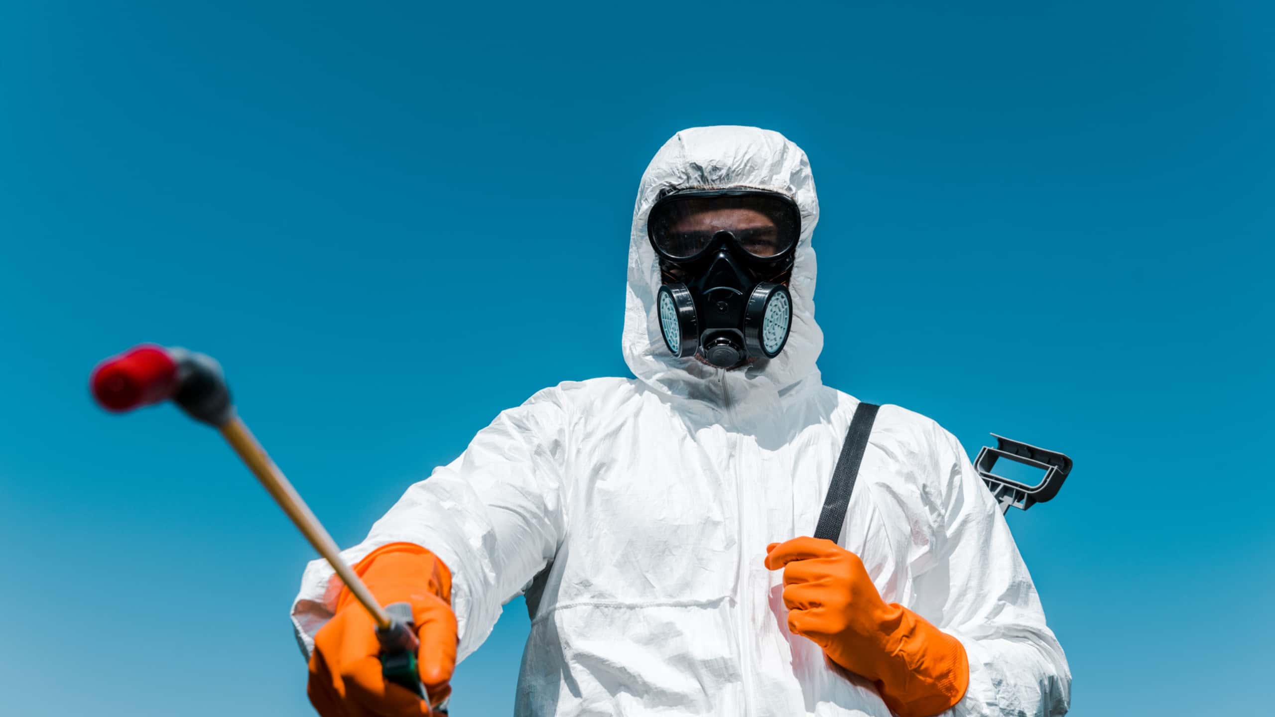 Uncover the Best Method for Safe and Effective Pest Control in Forney TX