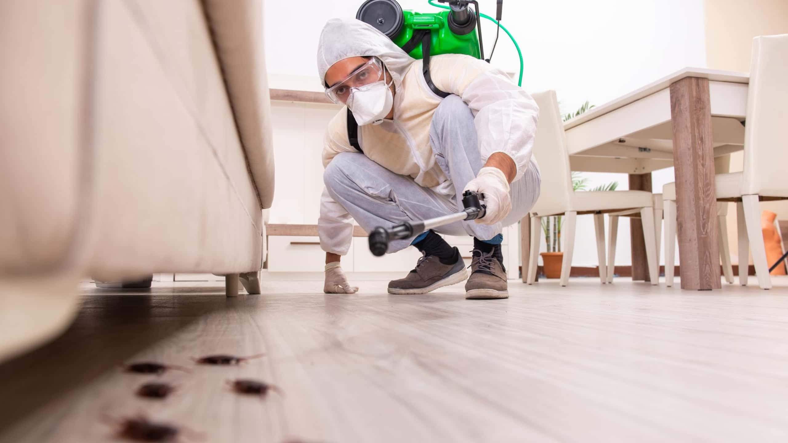Want To Keep Unwanted Pests Away? Learn How in Forney TX