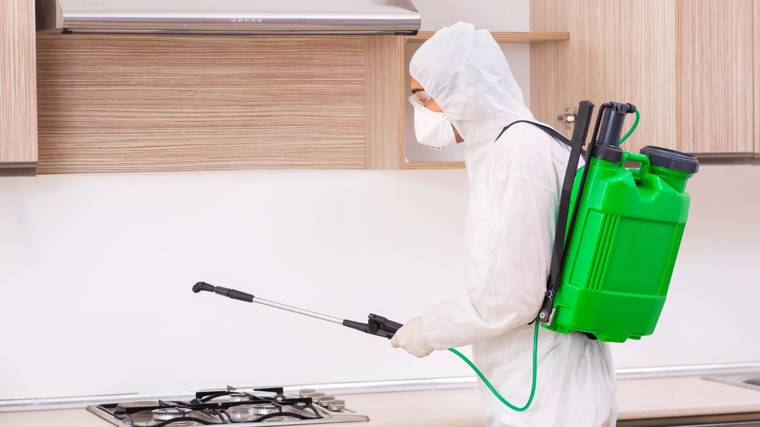 What are the Benefits of Professional Pest Control Services in Forney TX