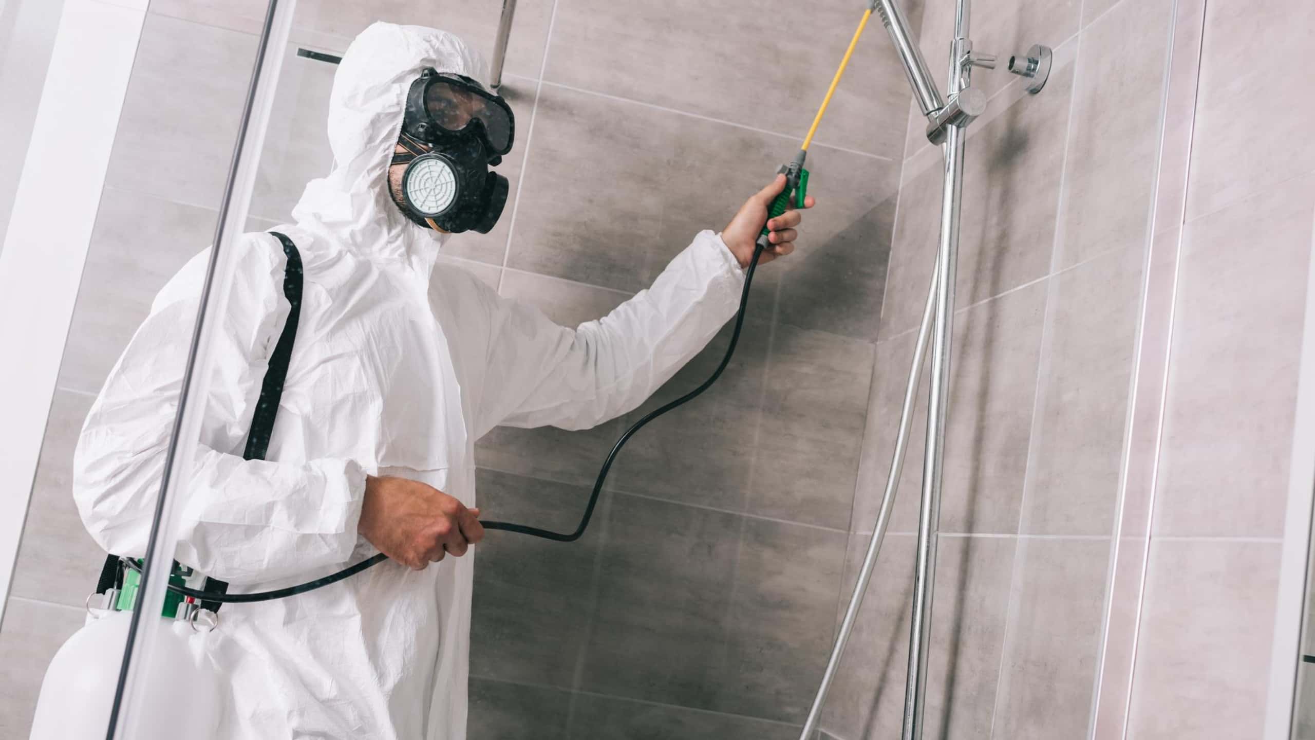 Benefits of Professional Extermination Services