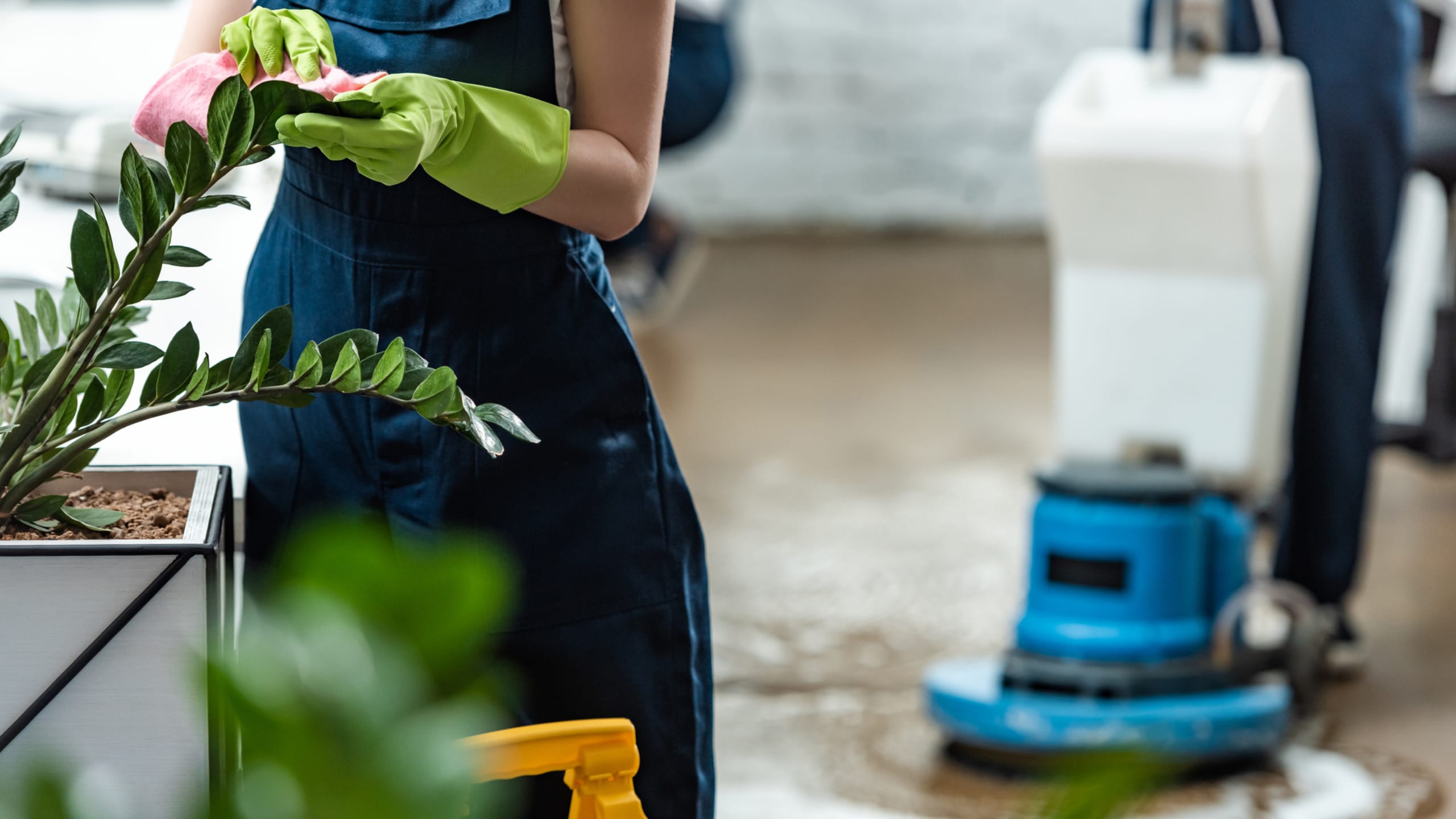 How to Cut Costs With Professional Office Cleaners