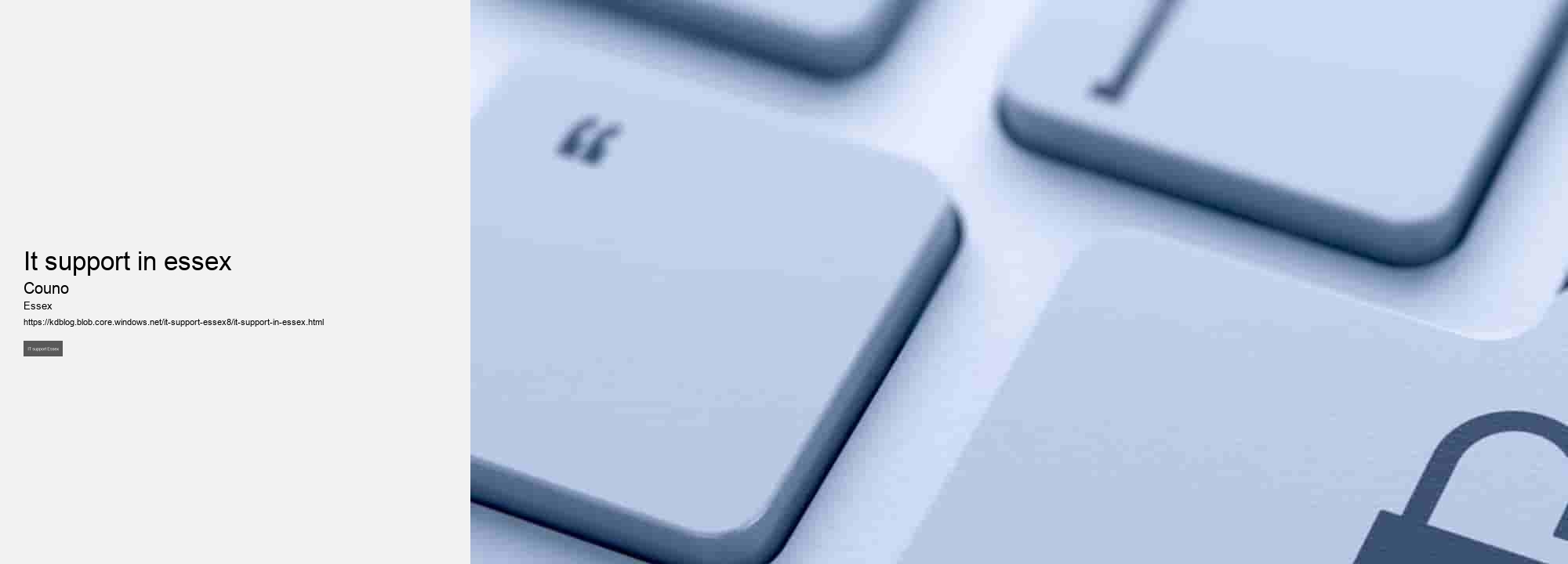 it support in essex