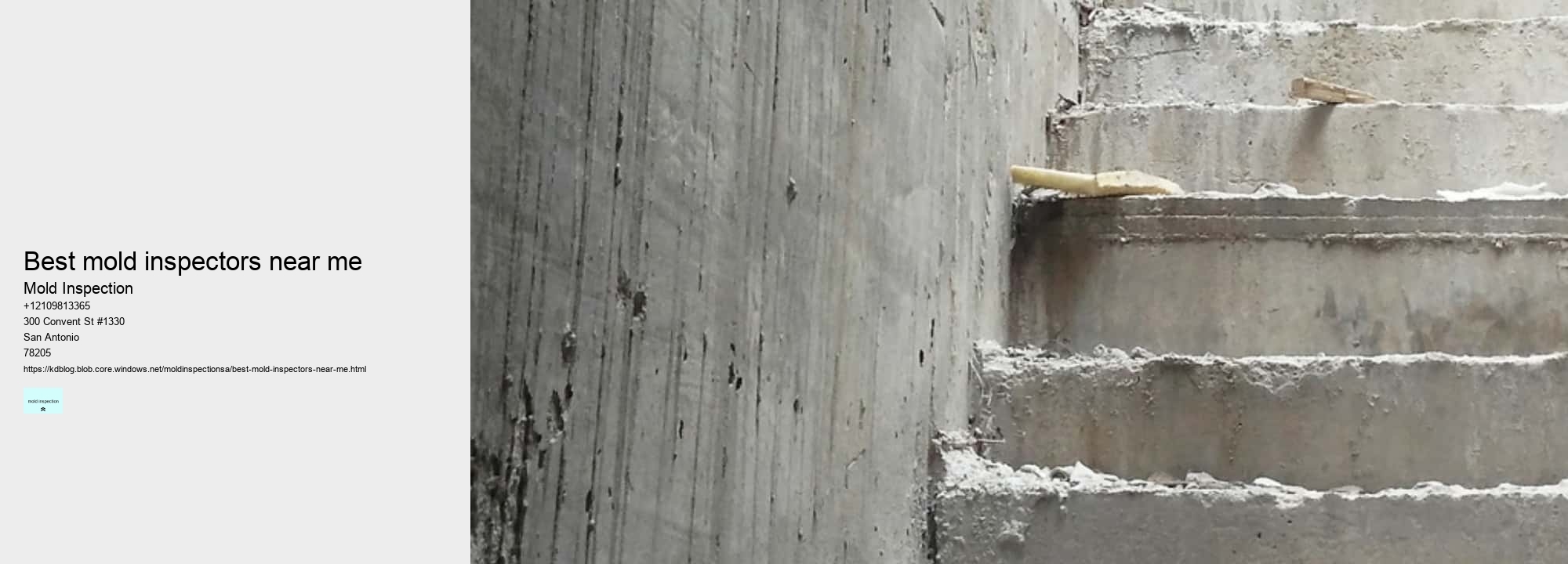 best mold inspectors near me