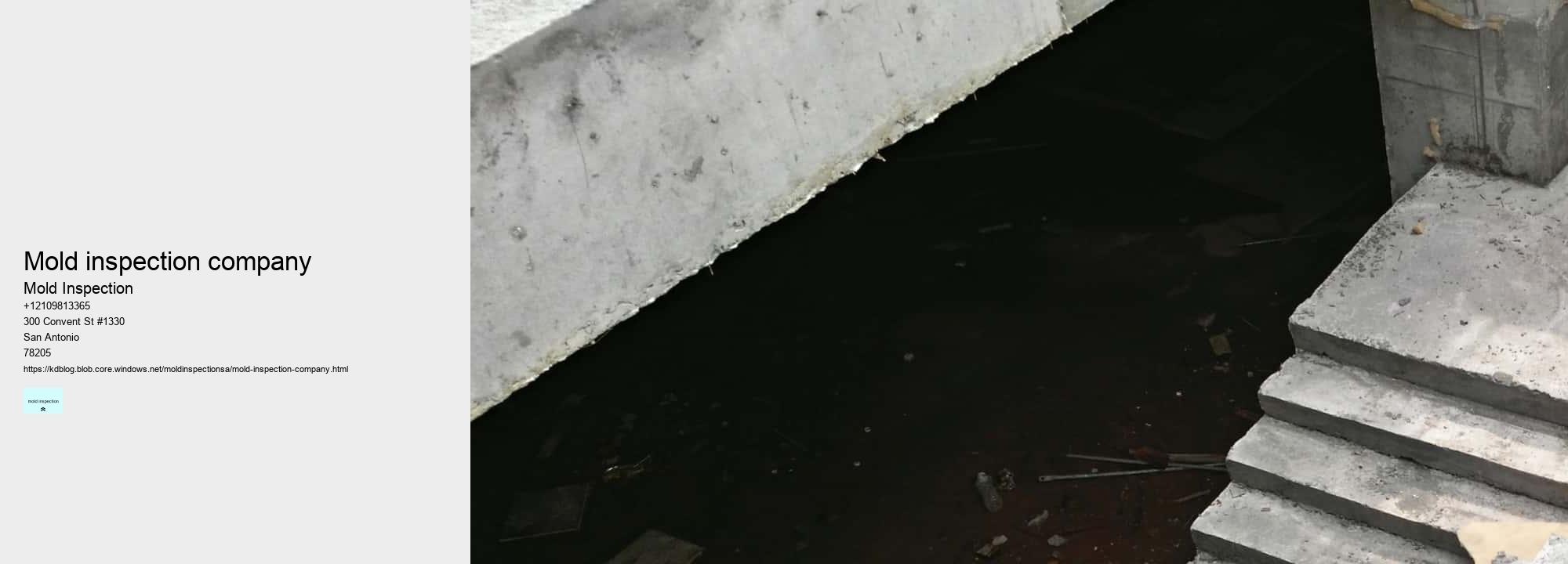 mold inspection company