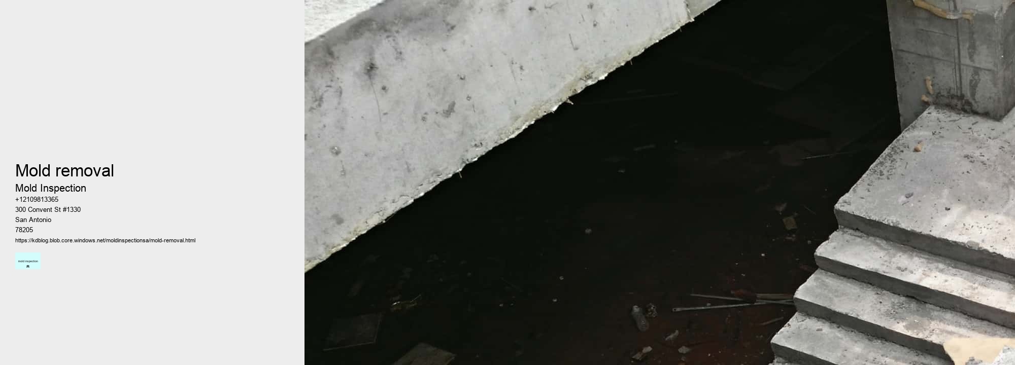 mold removal