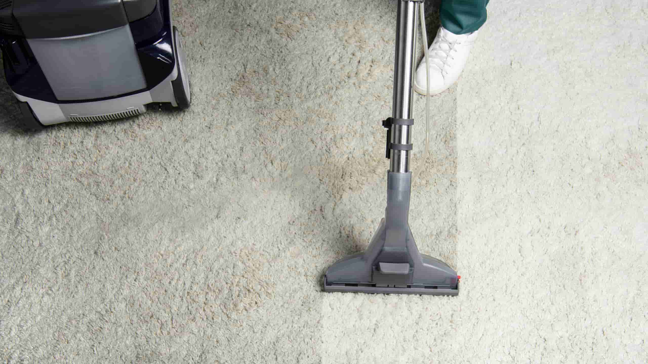 How to Choose the Best Carpet Cleaner for Your Home