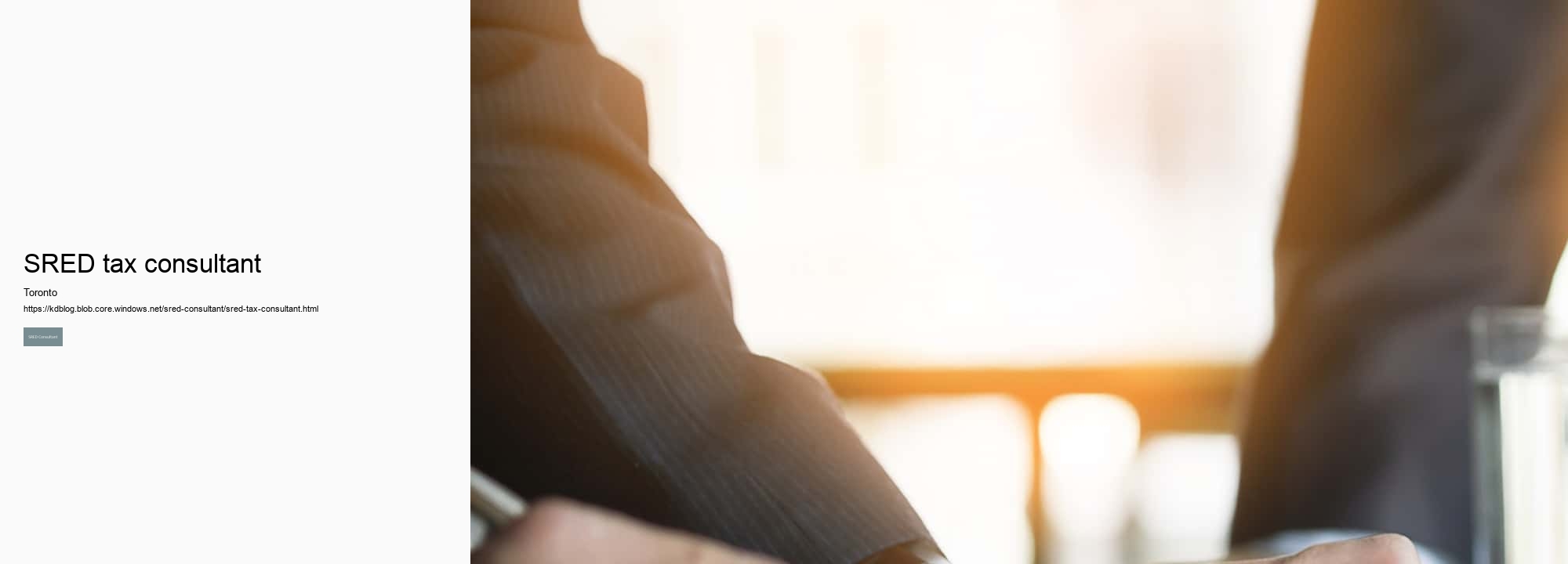 SRED tax consultant